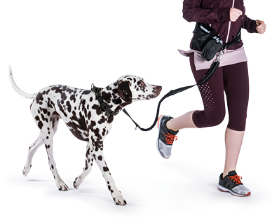 Guinzaglio da jogging per cani ROMEO