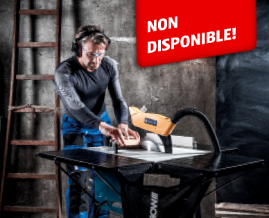 Scie circulaire sur table WORKZONE(R)