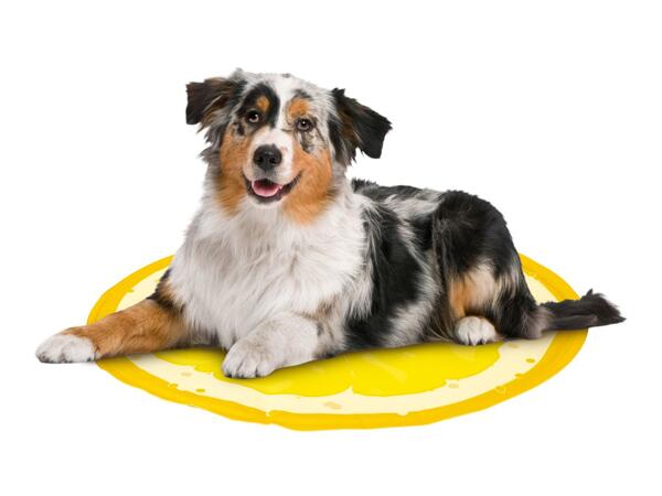 Dog Round Cooling Mat