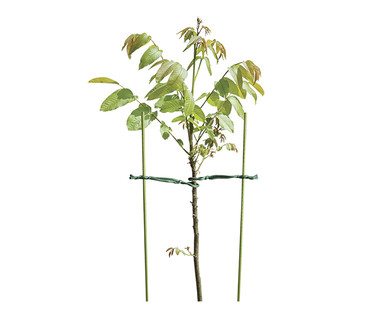 Gardenline 4-Pack Plant Supports