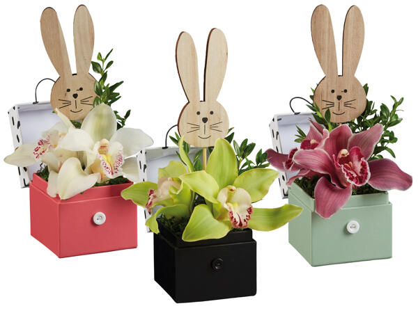 Orchideengesteck Ostern