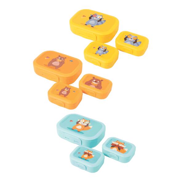 CROFTON(R) 				Boîtes à lunch et à snack, 3 pcs