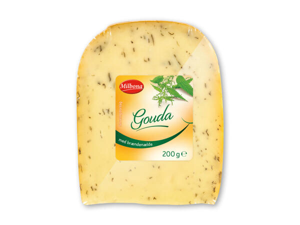 Gouda