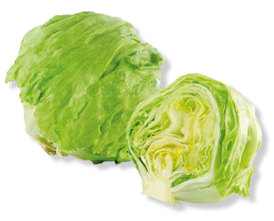Laitue iceberg