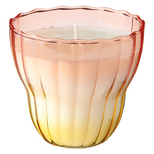 Two Tone Glass Candle - Sweet Mango