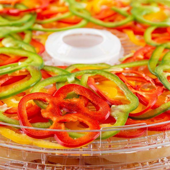 Dehydrator