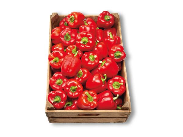 Paprika röd