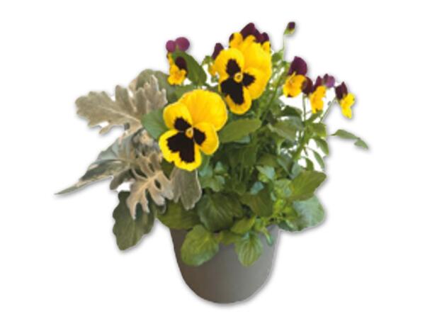 Herbst Trio