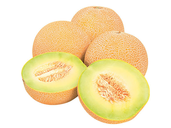 Galiamelone
