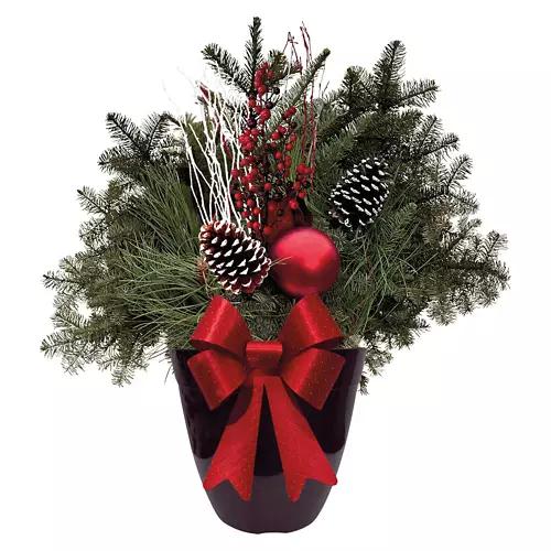 Holiday Assorted Patio Planter