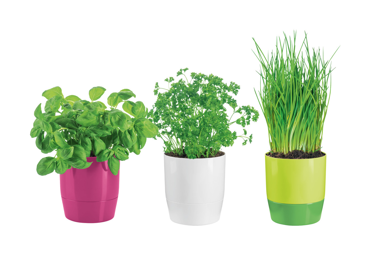 FLORABEST(R) Krydderurtepotte