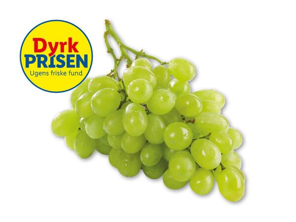 Grønne kernefri vindruer