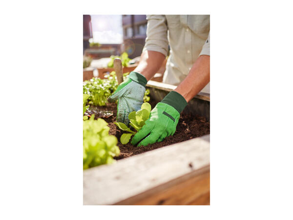 Parkside Gardening Gloves - 2 pairs