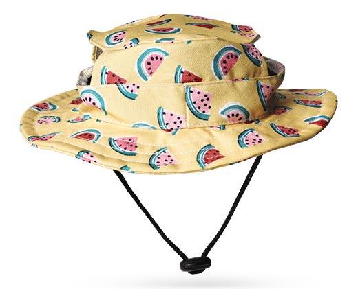 Heart to Tail 
 Pet Hat