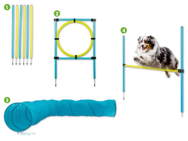 Hunde Agility-Sortiment