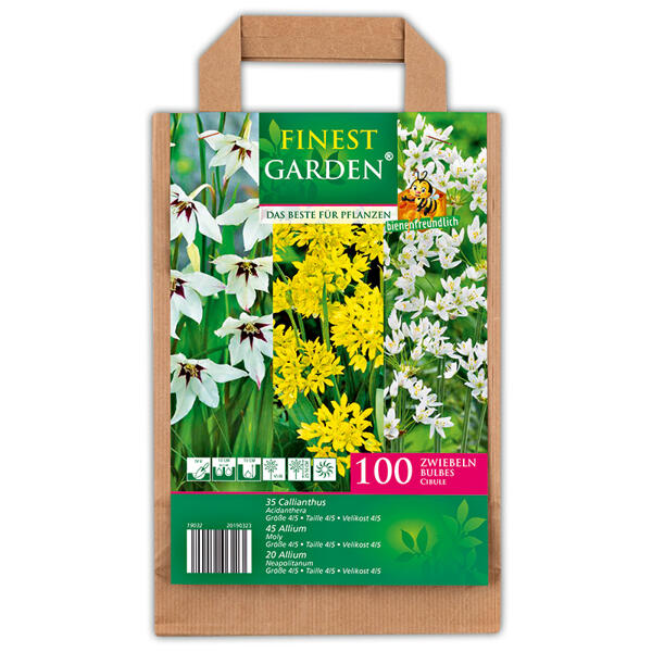 Blumenzwiebeln in Papiertasche