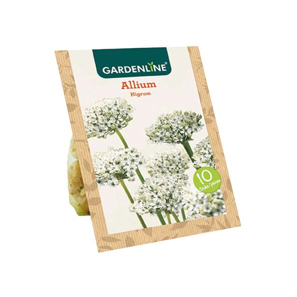 GARDENLINE(R) 				Bulbes à fleurs ail d'ornement