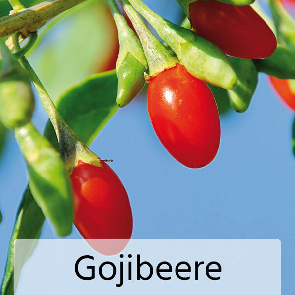 Obst-Mix