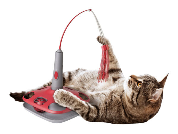 Zoofari Interactive Cat Toy