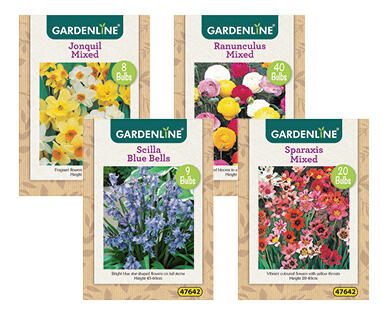 Assorted Packet Bulbs