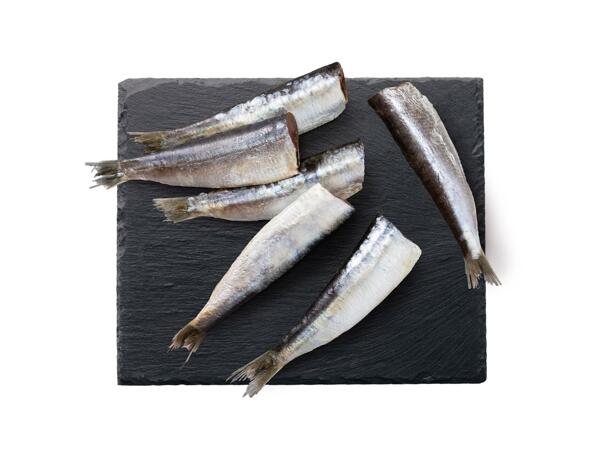 SARDINKY OBECNÉ