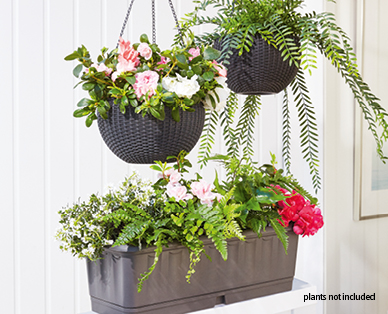 Hanging Pot