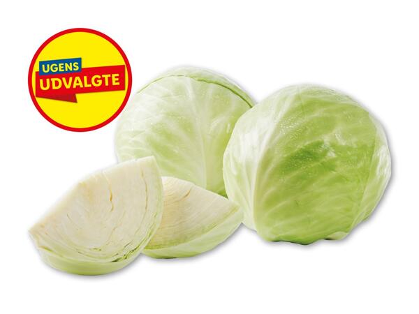 Dansk hvidkål