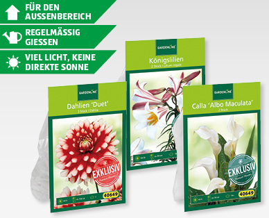GARDENLINE(R) Exklusive Blumenzwiebeln