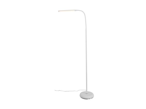 LED Floor Lamp