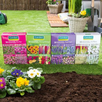 Bulbes à fleurs de plantes vivaces, 30 pcs