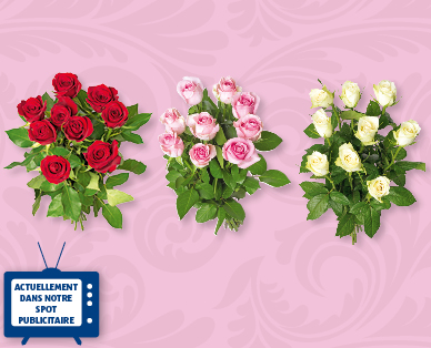 Roses à longues tiges FAIRTRADE Max Havelaar