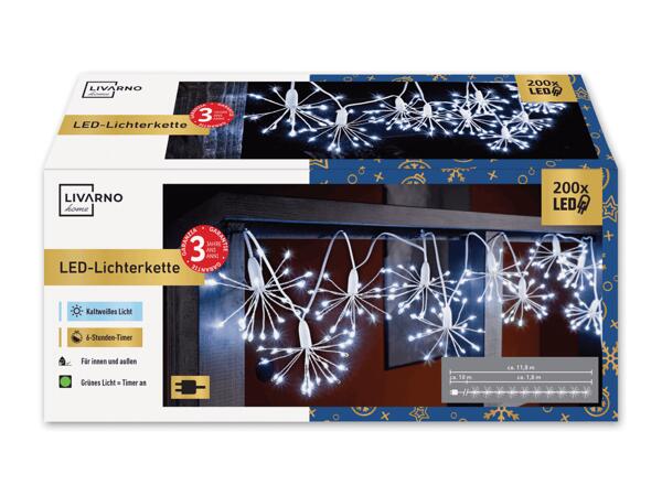 LED-Dandelion Lichterkette