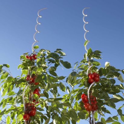 Tuteurs pour tomates ou plantes