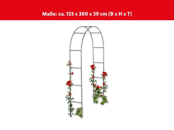 Rosenbogen/​Rankturm