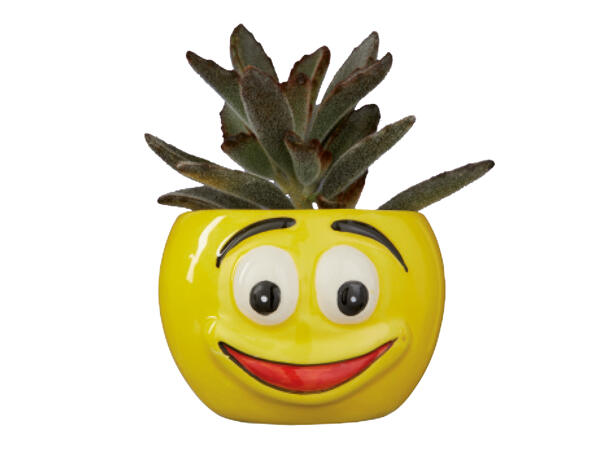 Succulent in Emoji Ceramic