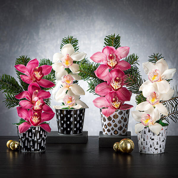 Orchideengesteck "Weihnachten"