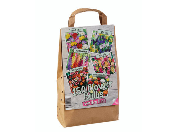 Blumenzwiebeln in Papiertüte