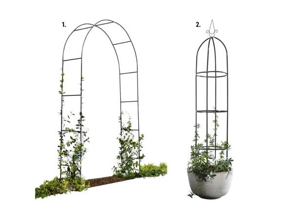 Arche à rosiers/​tuteur colonne