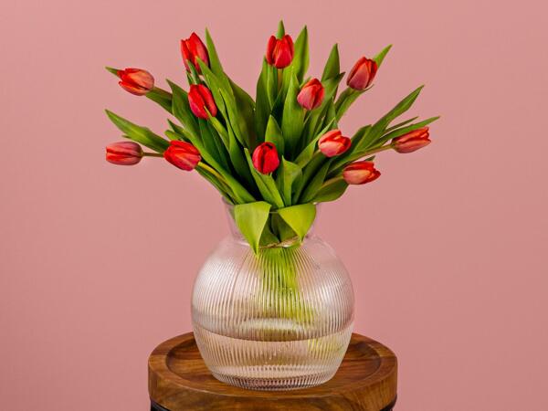 Valentine's Tulips