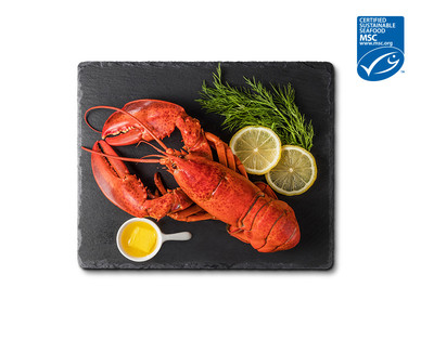 Sea Queen Whole Lobster