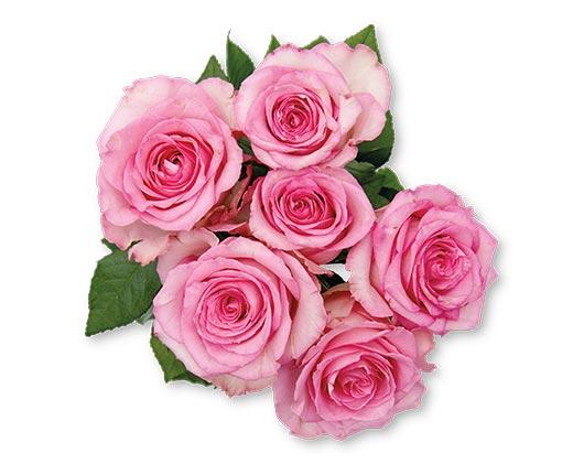 6 Stem Rose Bouquet Assorted Colors