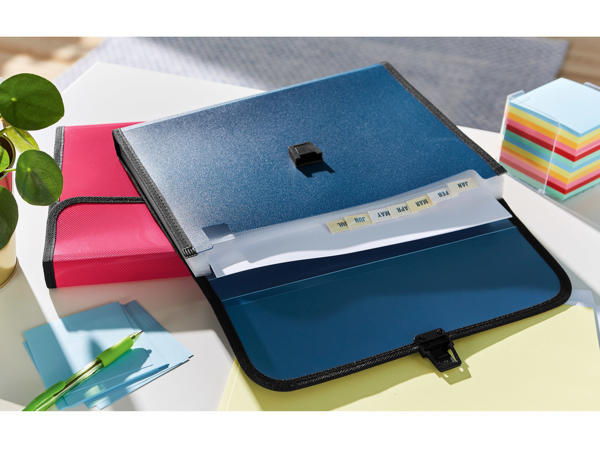 Organiser Files