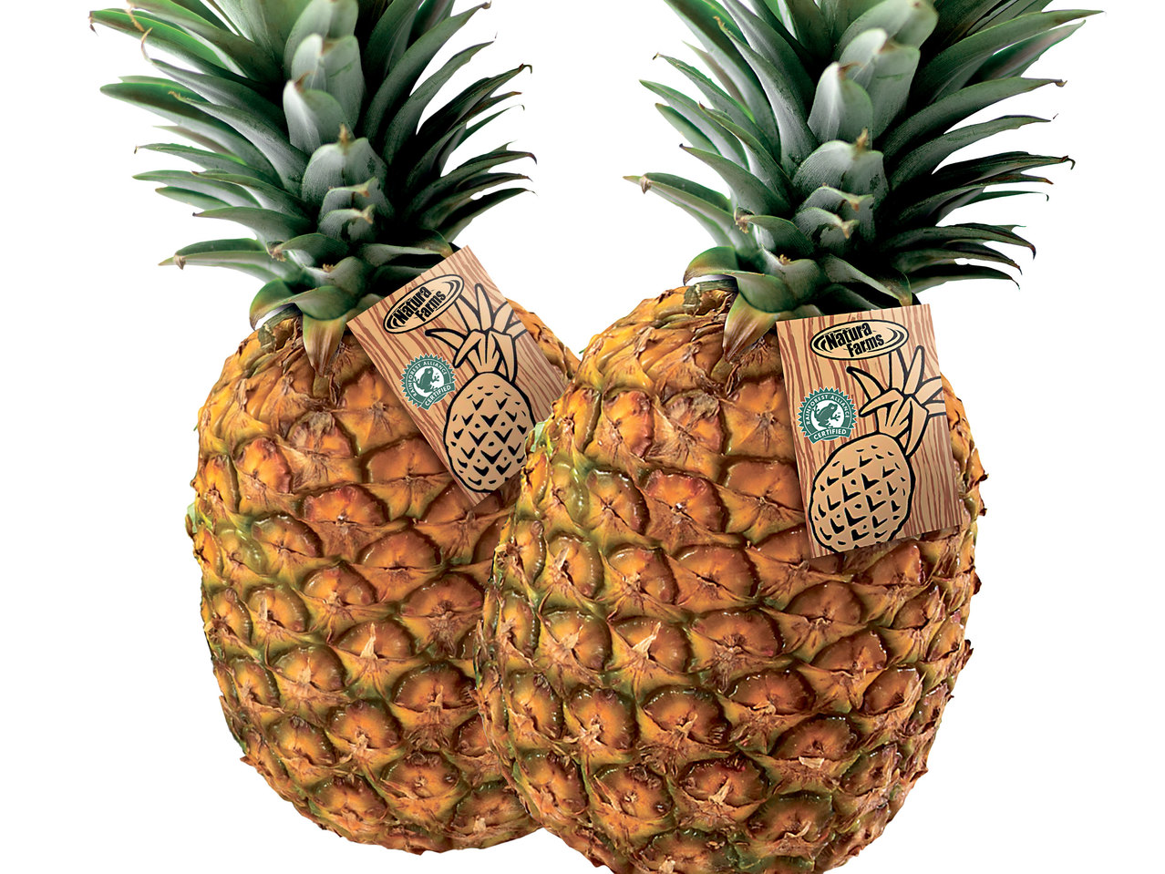 Ananas