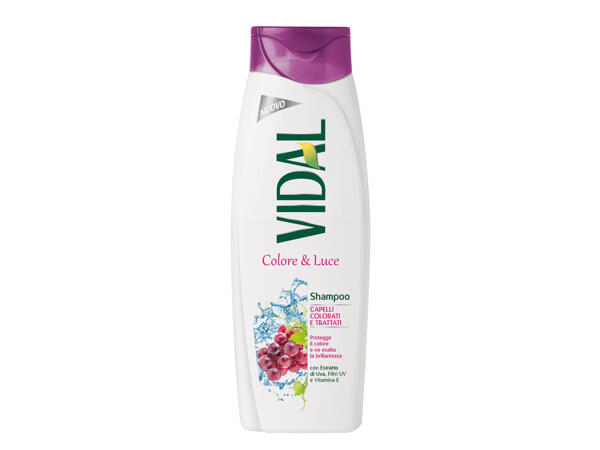 Shampoo