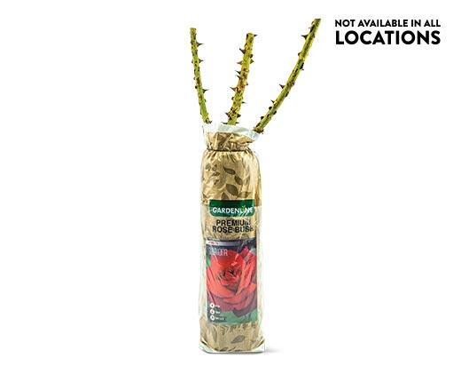 Gardenline Premium Rose Bush Assorted Varieties