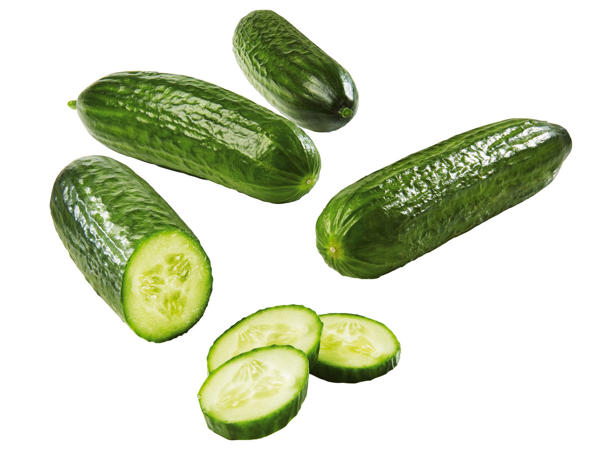 Österreichische Mini-Gurken