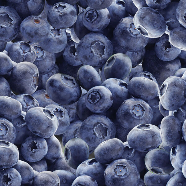 Heidelbeeren