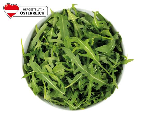 Rucola