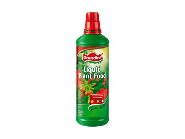 Engrais spécial pour géraniums