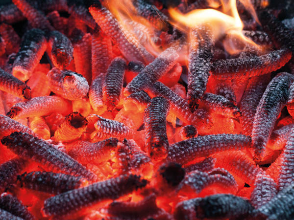 Maister Grillkolben 3 kg